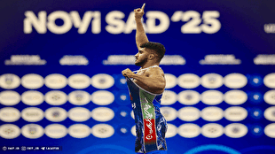 نابغه ایرانی برترین فرنگی کار جهان شد