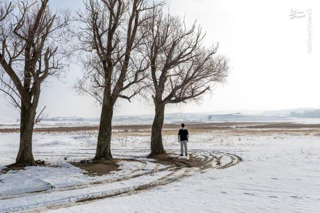 عکس/ طبیعت برفی دامنههای سهند