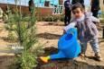 تولید یک میلیون و ۲۰۶ هزار نهال در دستور کار منابع طبیعی سیستان و بلوچستان