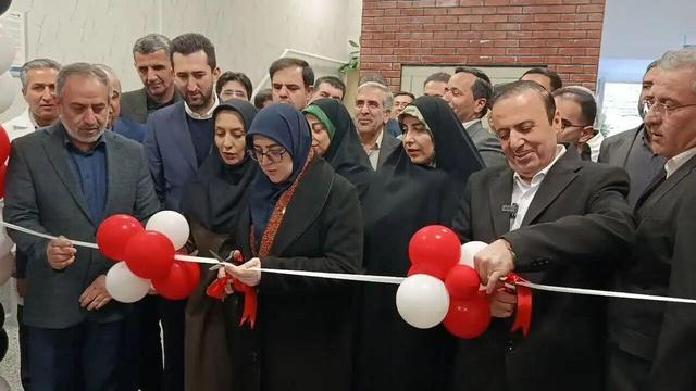 یک واحد تولیدی آرایشی و بهداشتی با حضور سخنگوی دولت در قزوین افتتاح شد