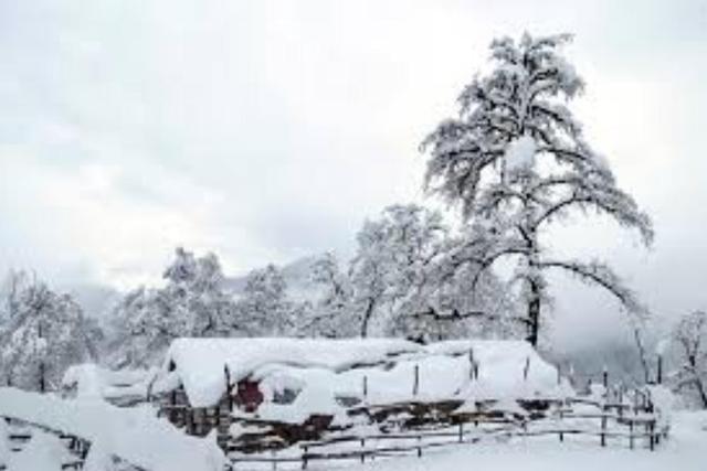 کدام استان‌ها برفی می‌شوند؟