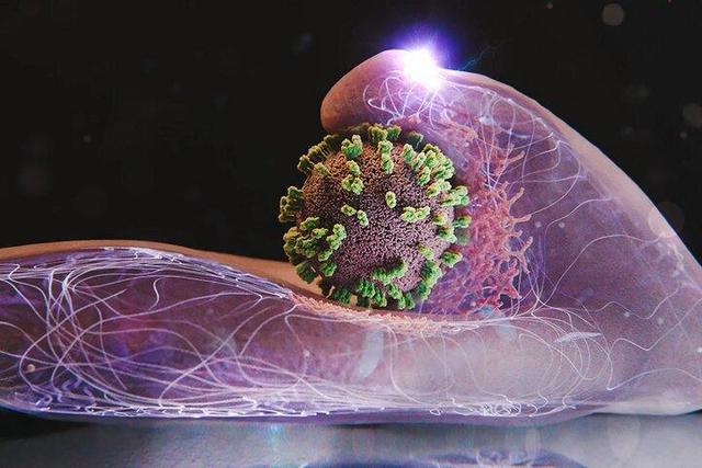 گروه‌های حساس در برابر «آنفلوآنزا» چه افرادی هستند؟