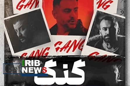 بی قانونی و گنگ