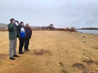 پایش میدانی وضعیت بهداشتی پرندگان در تالاب نوروزلو و سواحل جنوبی پارک ملی دریاچه ارومیه