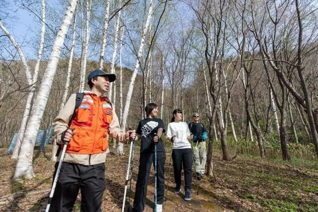 مقایسه پیادهروی شمالی و ژاپنی؛ کدام روش سالمتر است؟