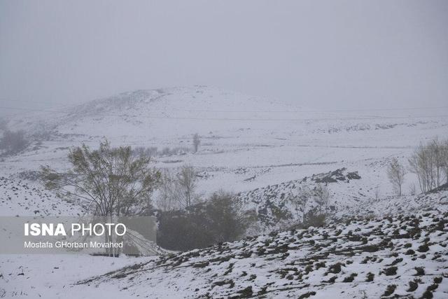 کدام استانها برفی میشوند؟