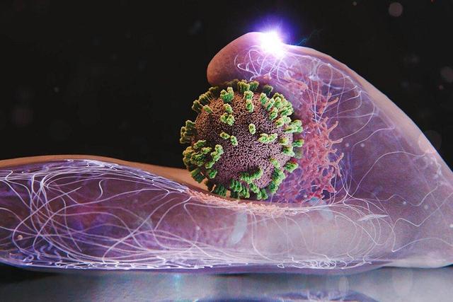 گروه‌های حساس در برابر «آنفلوآنزا» چه افرادی هستند؟