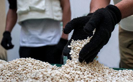 پلیس هشدار داد: افزایش نگران‌کننده کشف قرص روان‌گردان در بوشهر