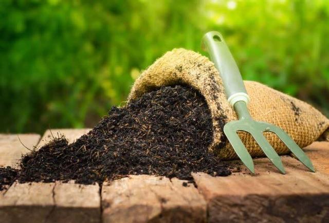 ۶۰۰ تن کود فسفاته برای بهره‌برداران استان یزد تأمین شد