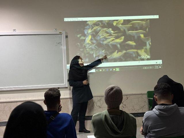 قارچهای توهمزا در چه زمینههایی استفاده دارند؟