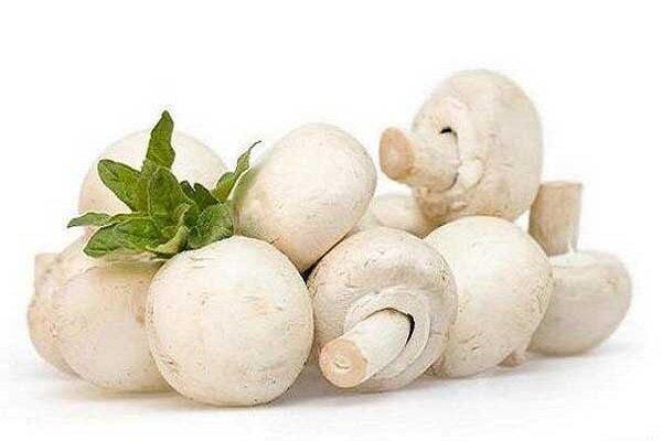 گیاه جادویی برای پیشگیری از سرطان