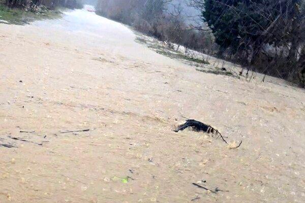 سیل در مراکش جان ۲۱ نفر را گرفت