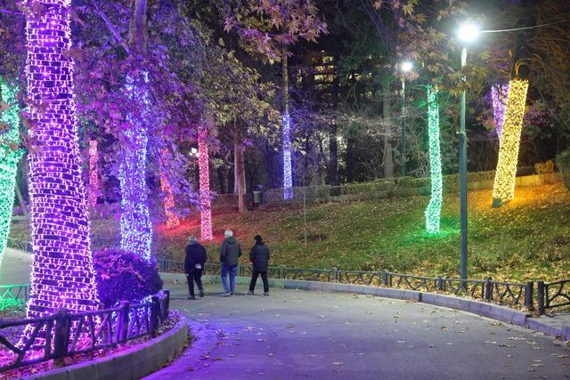 قدم زدن در باغ نورانی پایتخت