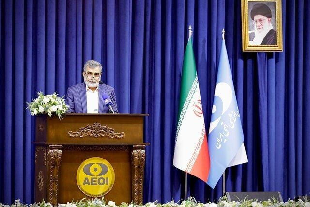 کمالوندی: بازرسی‌های اخیر آژانس با اجازه شورای عالی امنیت ملی بوده است