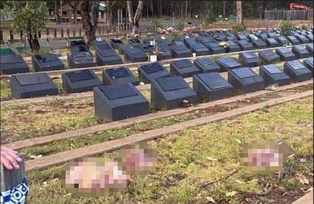 هتک حرمت به قبرستان اسلامی در حومه سیدنی استرالیا