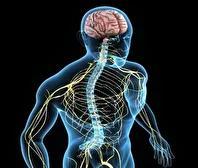 چگونه ساعتهای هوشمند زندگی ما را نجات میدهند؟