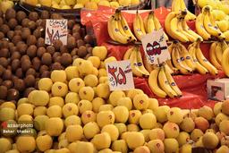 نمایشگاه و جشنواره شب یلدا در زنجان کار خود را آغاز کرد