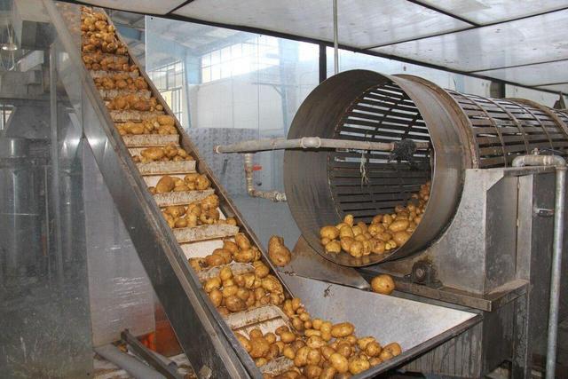 ۲۹۰ پروانه بهرهبرداری صنایع تبدیلی کشاورزی در اردبیل صادر شد