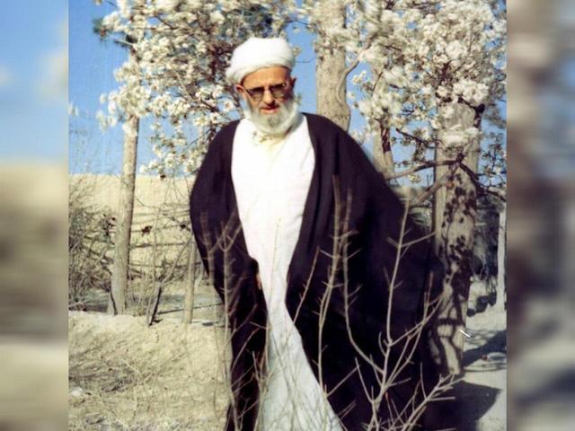 روایت سبکبالی «شیخ پیاده»؛ عارفی که از مادیات کوچ کرد