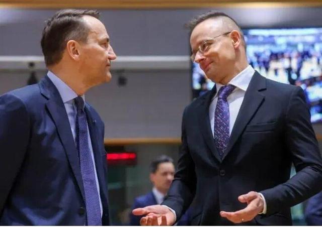 تنش بین مجارستان و لهستان درباره مصادره داراییهای روسیه