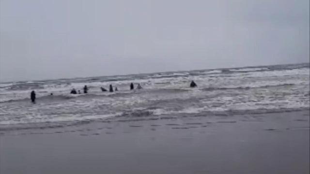 هشدار هواشناسی دریایی و اعلام وضعیت سطح نارنجی