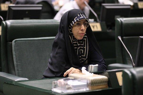 زمانی: حذف بودجه فرهنگی راهحل کسری بودجه نیست