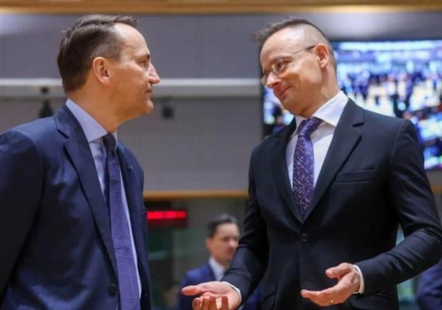 جدال لفظی وزرای خارجه مجارستان و لهستان درباره داراییهای روسیه