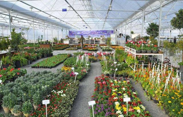 «باغ ریحان» جایگزین بازار گل و گیاه «همدانیان» شد