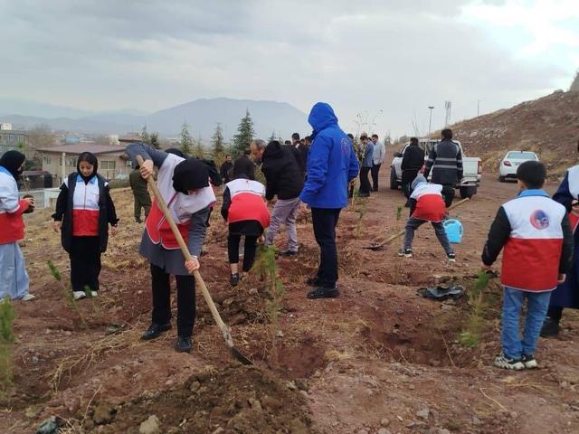 کاشت پنج هزار اصله نهال در البرز