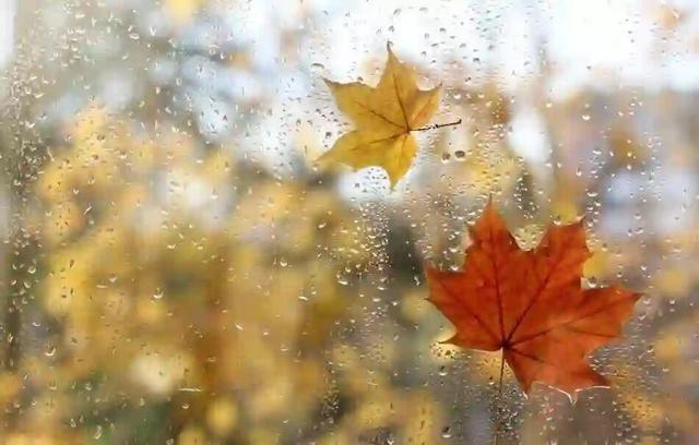 هشدار بارندگی در گیلان؛ دما تا ۱۲ درجه کاهش می‌یابد