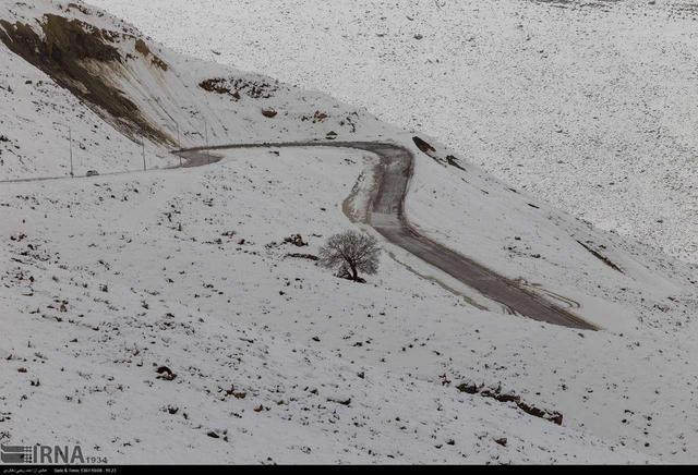 آغاز بارش برف و مه‌گرفتگی در گردنه‌های چهارمحال و بختیاری / رانندگان احتیاط کنند