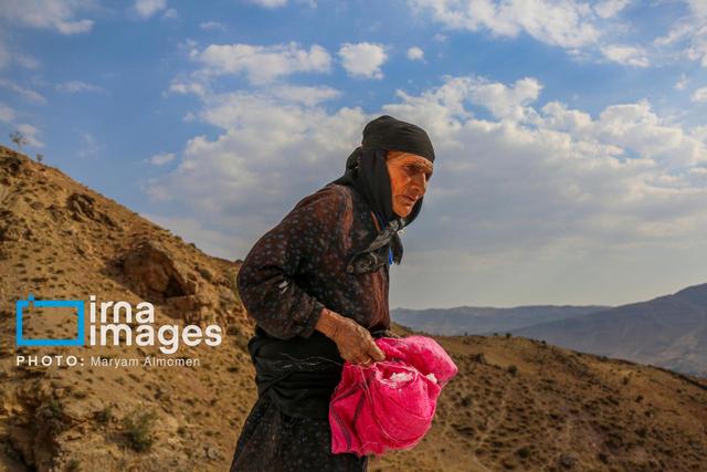 ۲ سکوی ملی فروش محصولات زنان روستایی و عشایری راه اندازی می شود