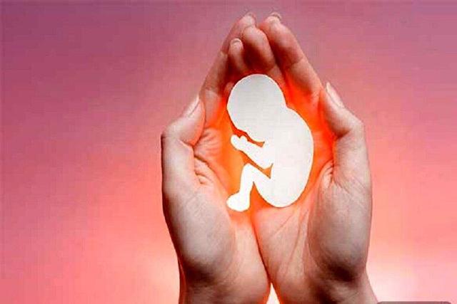 آمار سقط جنین در کشور ۳۰ برابر تلفات تصادف