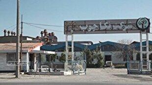 بازگشت نکاچوب به چرخه تولید پس از یک دهه بحران