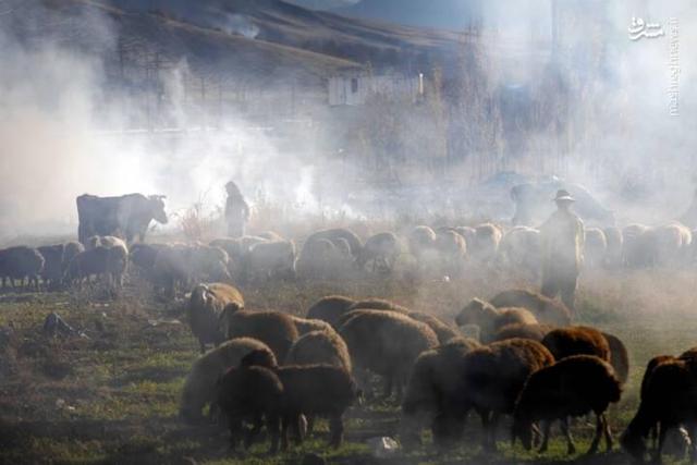 عکس/ طبیعت پاییزی شهرستان الشتر