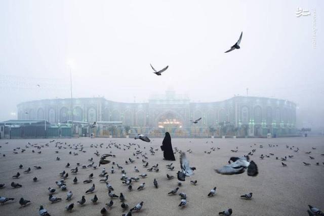 عکس/ بینالحرمین غرق در مه شد