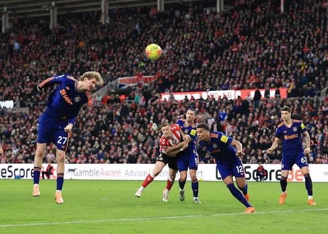 فیلم/ یک گل به خودی زیبا و کم نظیر!