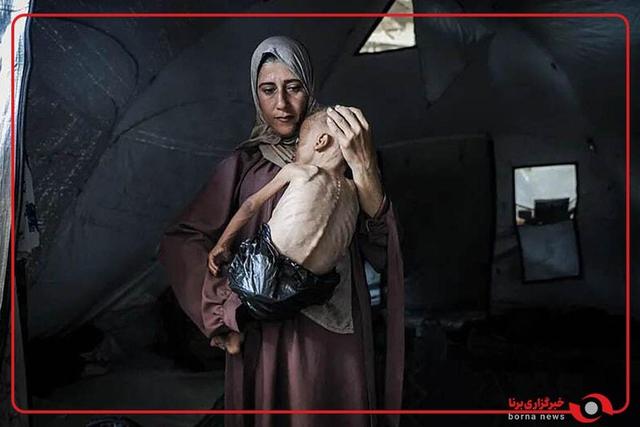 نگاهی به چند عکس برگزیده سال ۲۰۲۵