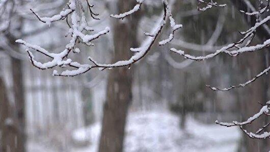 سرما و برف از فردا میهمان خراسان شمالی می‌شود