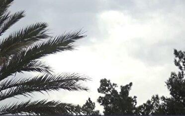 بیشترین بارندگی سیستان و بلوچستان در ساربوک قصرقند