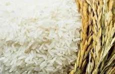 توصیه جنجالی کارشناس صداوسیما خوردن جو به جای برنج گران (فیلم)