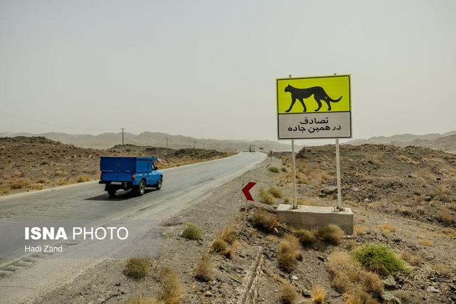 گزارش فنی کاهش تلفات جاده‌ای یوز روی میز وزارت راه/ مرجع تصمیم برای محورهای پرخطر