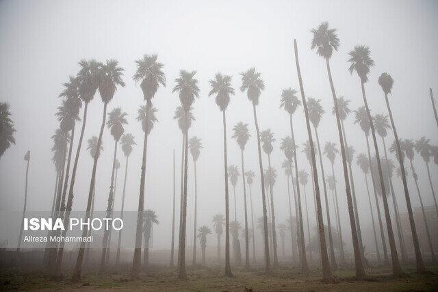 هشدار «نارنجی» وقوع مه در خوزستان