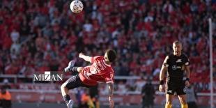 زیباترین گل سال ۲۰۲۵ انتخاب شد