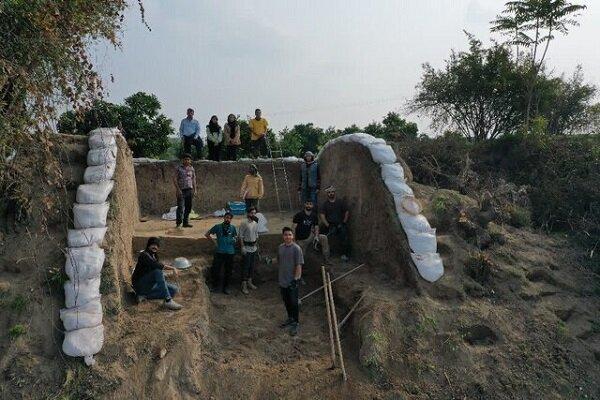 کشف دانه برنج ۳ هزار ساله در آمل