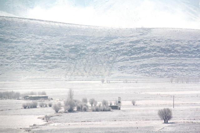 برف این شهر ایران را کاملا سفیدپوش کرد؛ لحظات زیبای بارش برف را ببینید