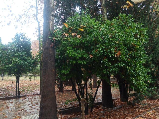 ببینید|شیراز بارانی؛ رودخانۀ خشک پُرآب شد