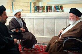 آیتالله علمالهدی با رهبر برجسته شیعیان هند دیدار کرد