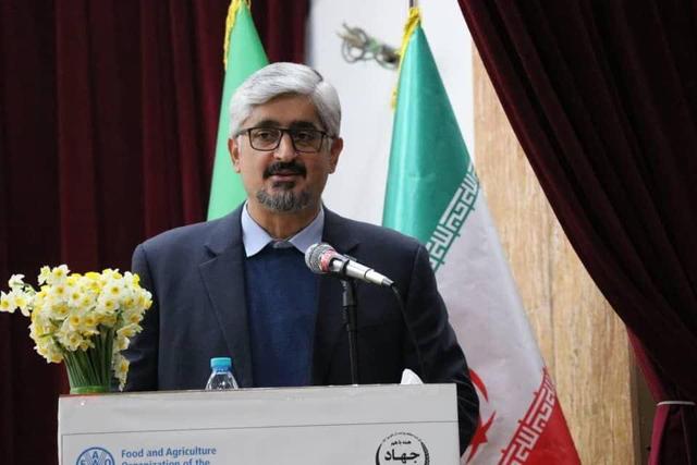 بهجت حقیقی: تشکلها بازوی توانمند جهاد کشاورزی در تنظیم بازار هستند