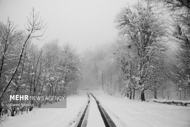 مرادی: آغاز بارش برف در ۲ محور کوهستانی گیلان؛ تردد جریان دارد